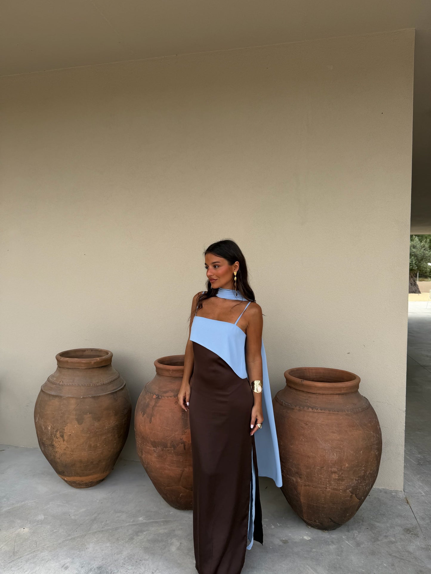 Viviana Dress - Brown & Blue