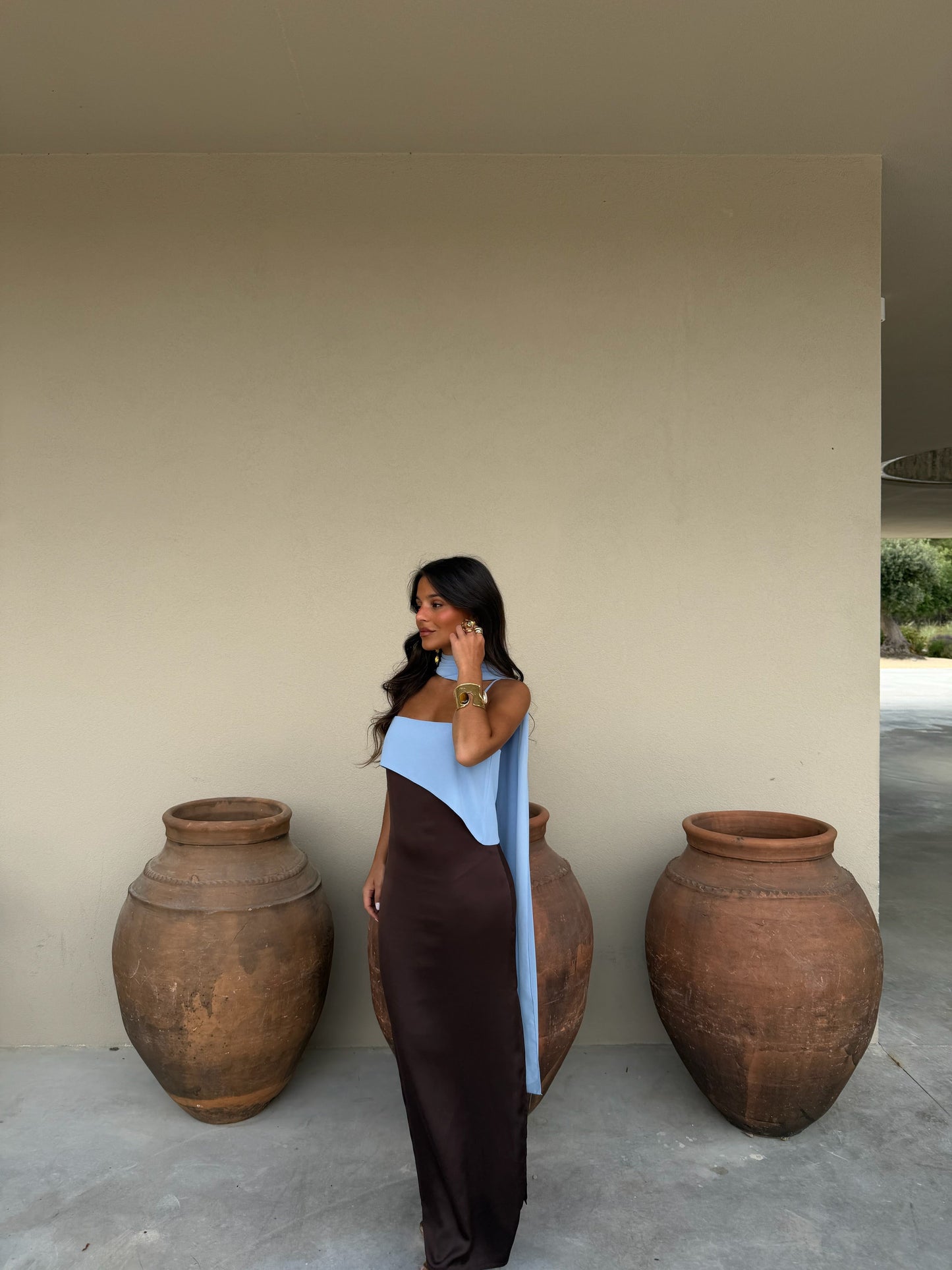 Viviana Dress - Brown & Blue